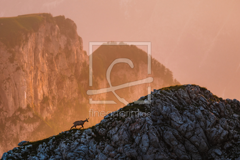 frei wählbarer Bildausschnitt für Ihr Bild auf Leinwand