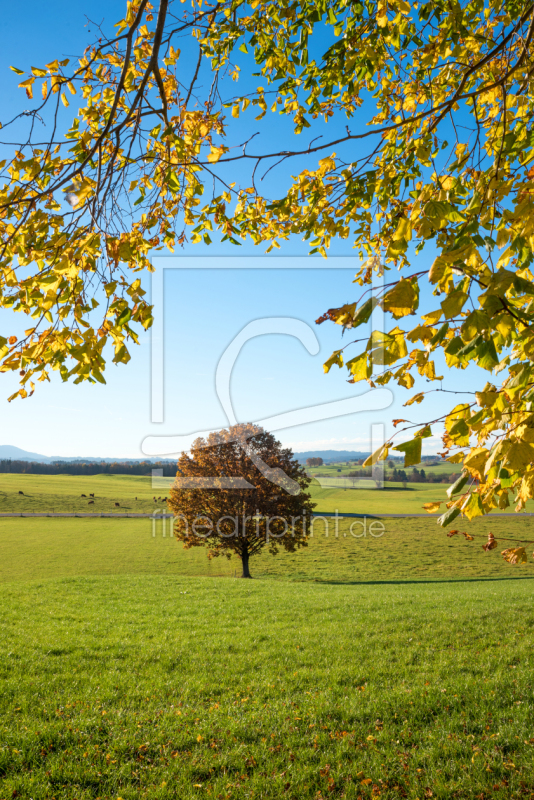 frei wählbarer Bildausschnitt für Ihr Bild auf Leinwand