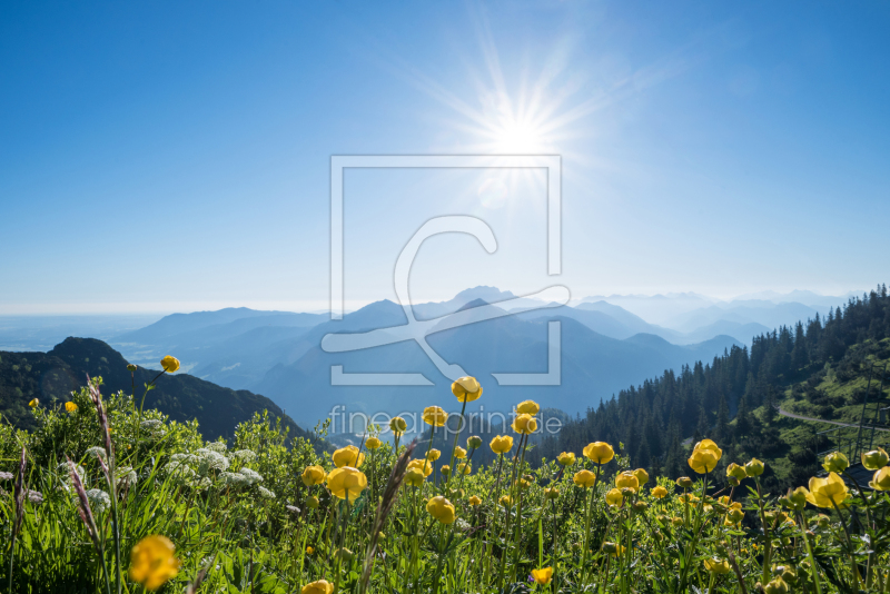 frei wählbarer Bildausschnitt für Ihr Bild auf Leinwand