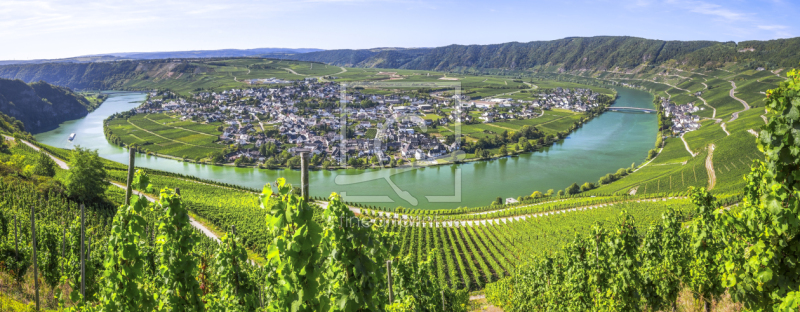 frei wählbarer Bildausschnitt für Ihr Bild auf Leinwand