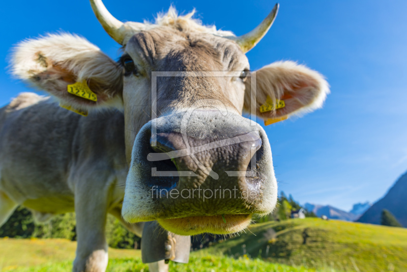 frei wählbarer Bildausschnitt für Ihr Bild auf Leinwand
