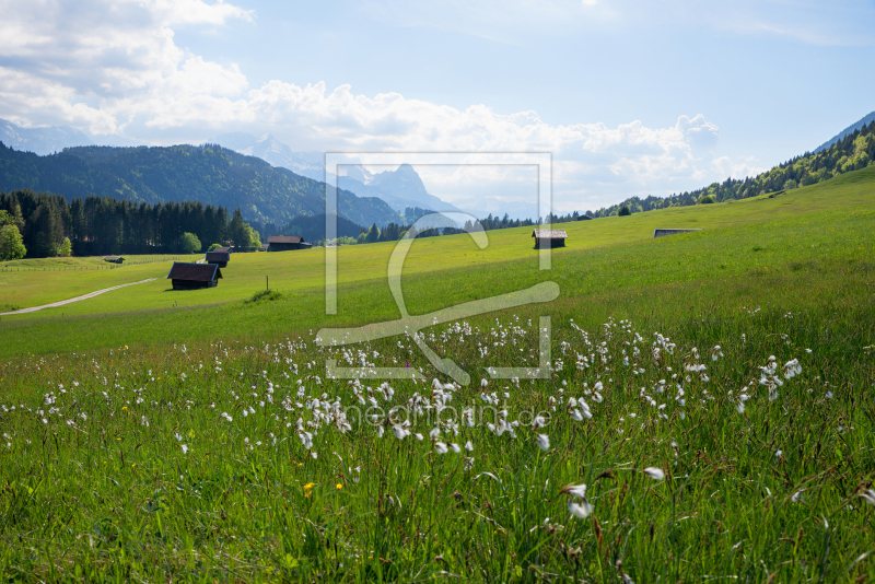 frei wählbarer Bildausschnitt für Ihr Bild auf Leinwand