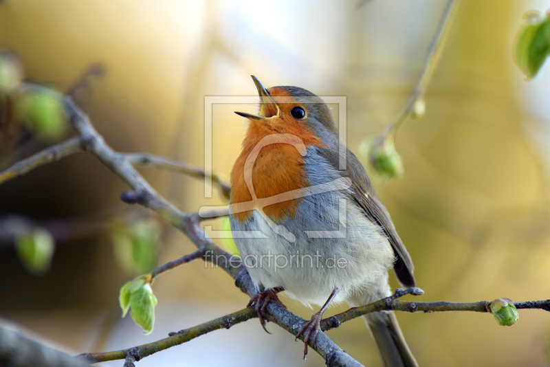 frei wählbarer Bildausschnitt für Ihr Bild auf Leinwand