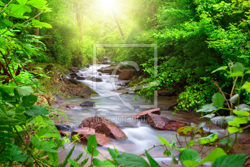 frei wählbarer Bildausschnitt für Ihr Bild auf Leinwand