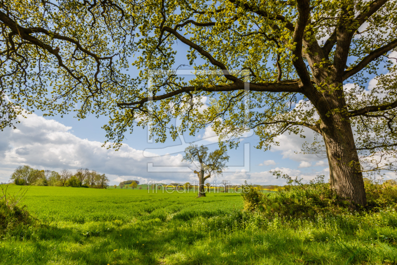 frei wählbarer Bildausschnitt für Ihr Bild auf Leinwand