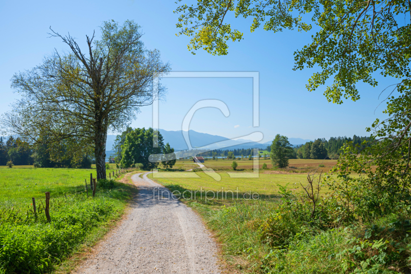 frei wählbarer Bildausschnitt für Ihr Bild auf Leinwand