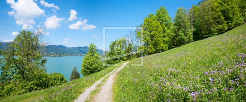 frei wählbarer Bildausschnitt für Ihr Bild auf Leinwand