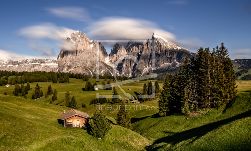 frei wählbarer Bildausschnitt für Ihr Bild auf Leinwand
