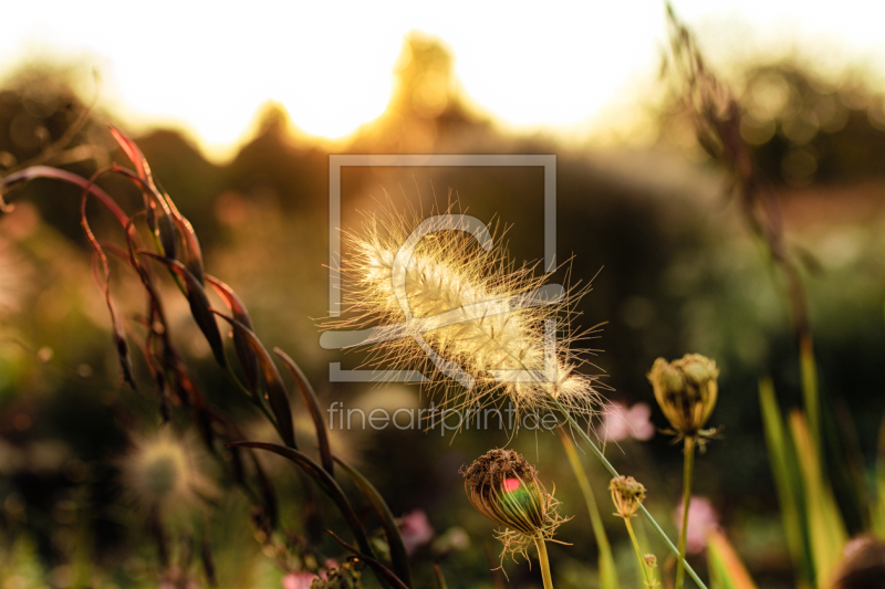 frei wählbarer Bildausschnitt für Ihr Bild auf Leinwand