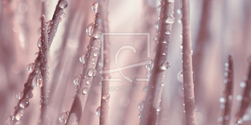 frei wählbarer Bildausschnitt für Ihr Bild auf Leinwand