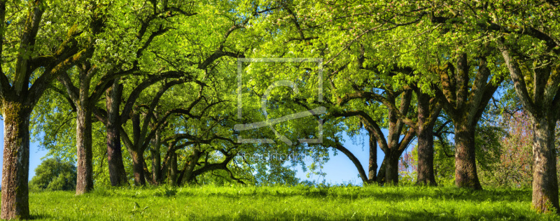 frei wählbarer Bildausschnitt für Ihr Bild auf Leinwand