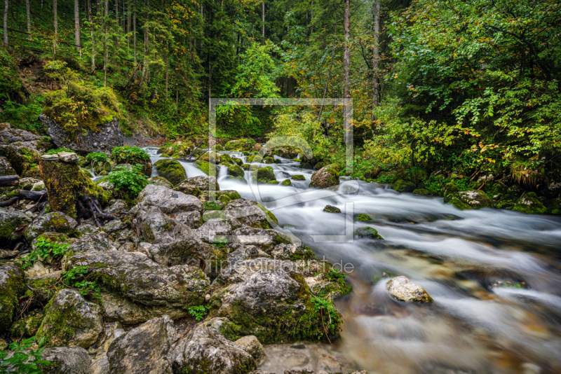 frei wählbarer Bildausschnitt für Ihr Bild auf Leinwand