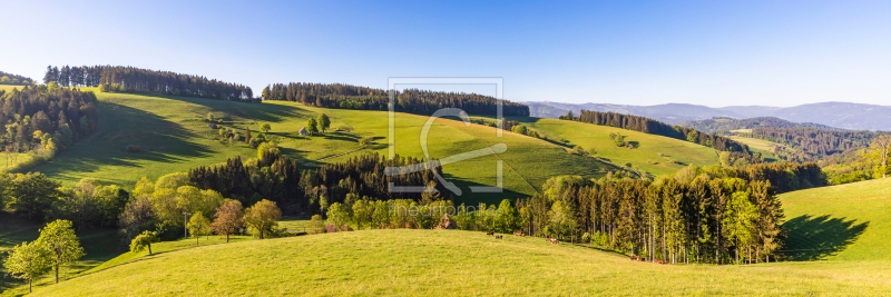 frei wählbarer Bildausschnitt für Ihr Bild auf Leinwand