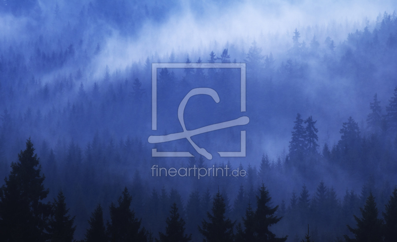 frei wählbarer Bildausschnitt für Ihr Bild auf Leinwand