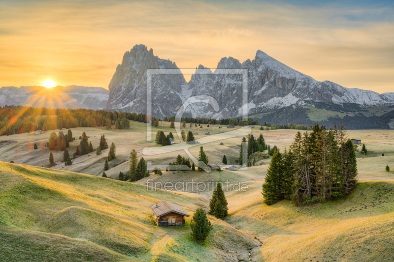 frei wählbarer Bildausschnitt für Ihr Bild auf Leinwand