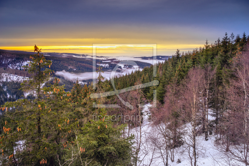 frei wählbarer Bildausschnitt für Ihr Bild auf Leinwand