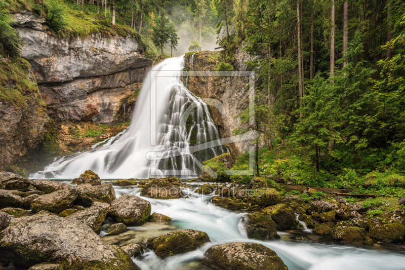 frei wählbarer Bildausschnitt für Ihr Bild auf Leinwand