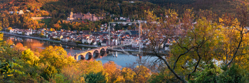 frei wählbarer Bildausschnitt für Ihr Bild auf Leinwand