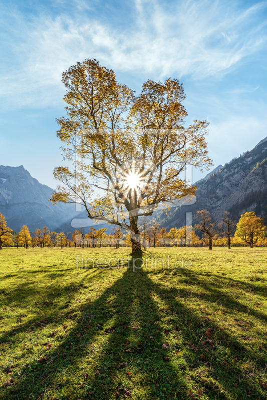 frei wählbarer Bildausschnitt für Ihr Bild auf Leinwand