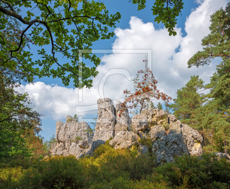 frei wählbarer Bildausschnitt für Ihr Bild auf Leinwand