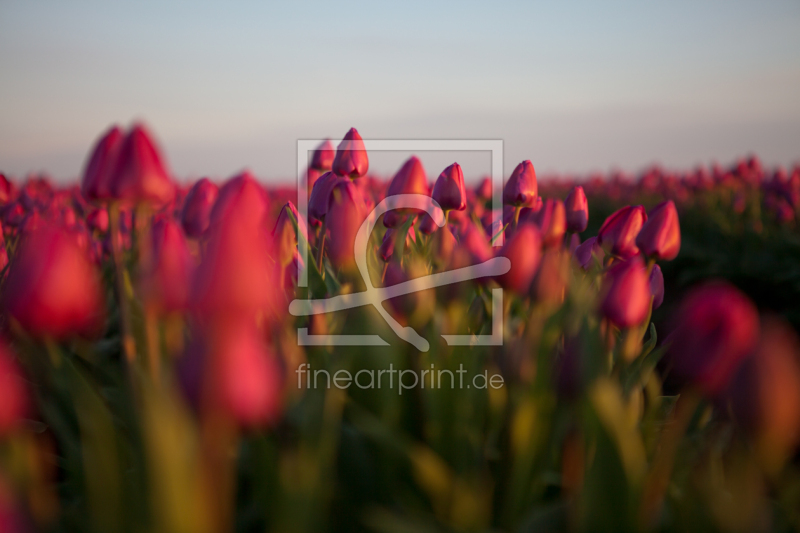 frei wählbarer Bildausschnitt für Ihr Bild auf Leinwand