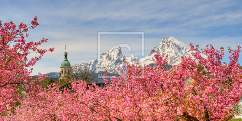 frei wählbarer Bildausschnitt für Ihr Bild auf Leinwand