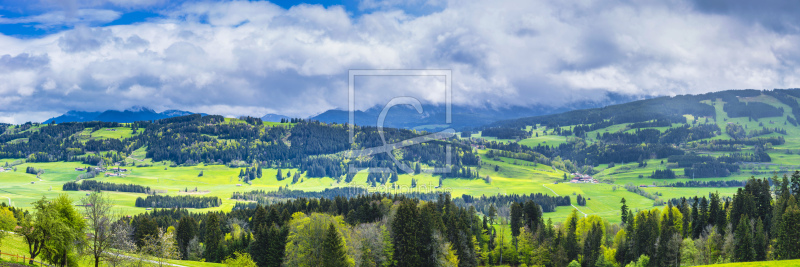 frei wählbarer Bildausschnitt für Ihr Bild auf Leinwand