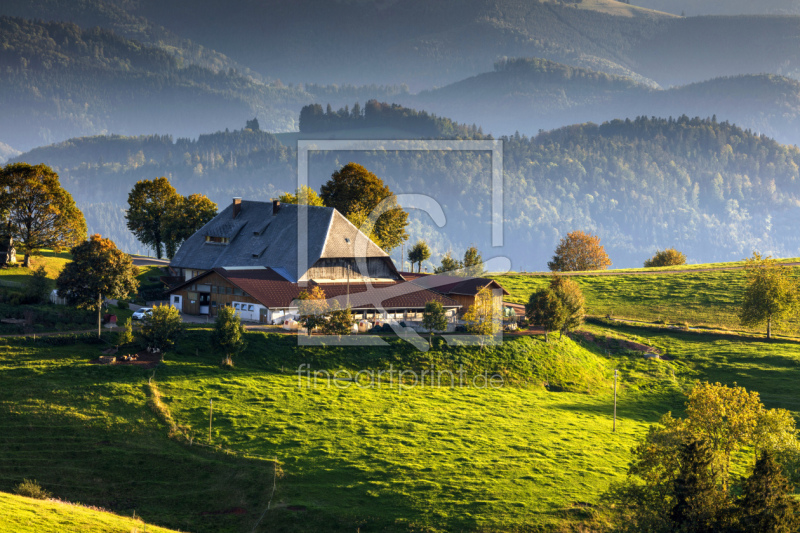 frei wählbarer Bildausschnitt für Ihr Bild auf Leinwand