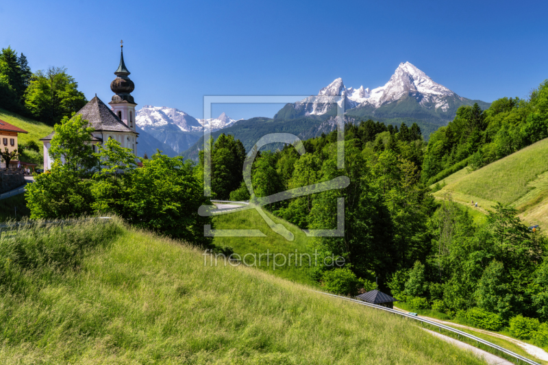 frei wählbarer Bildausschnitt für Ihr Bild auf Leinwand