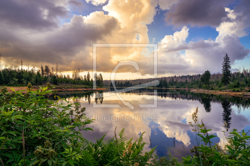 frei wählbarer Bildausschnitt für Ihr Bild auf Leinwand