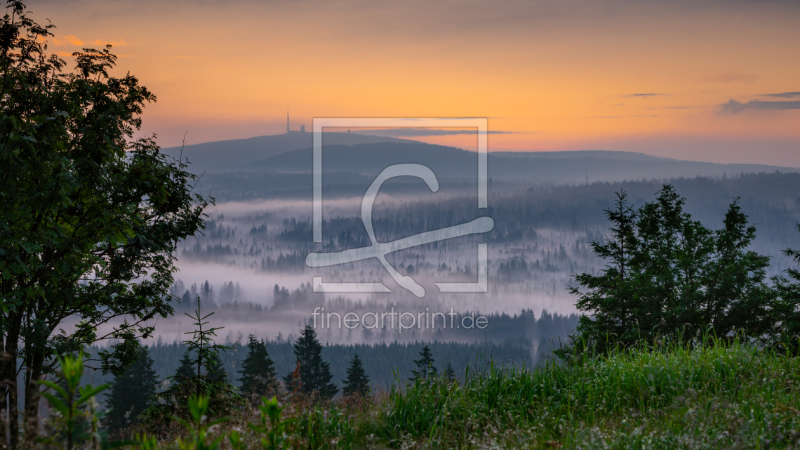 frei wählbarer Bildausschnitt für Ihr Bild auf Leinwand