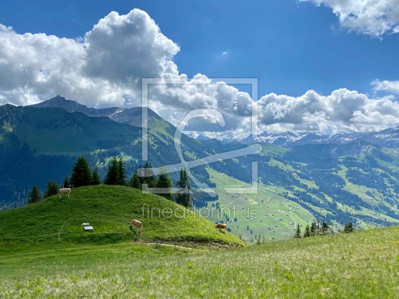 frei wählbarer Bildausschnitt für Ihr Bild auf Leinwand