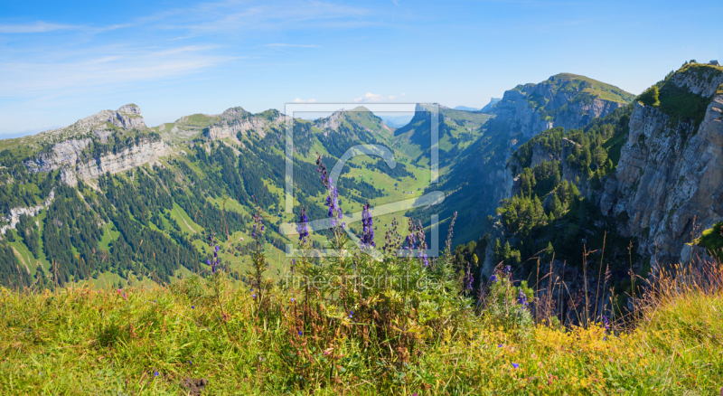 frei wählbarer Bildausschnitt für Ihr Bild auf Leinwand