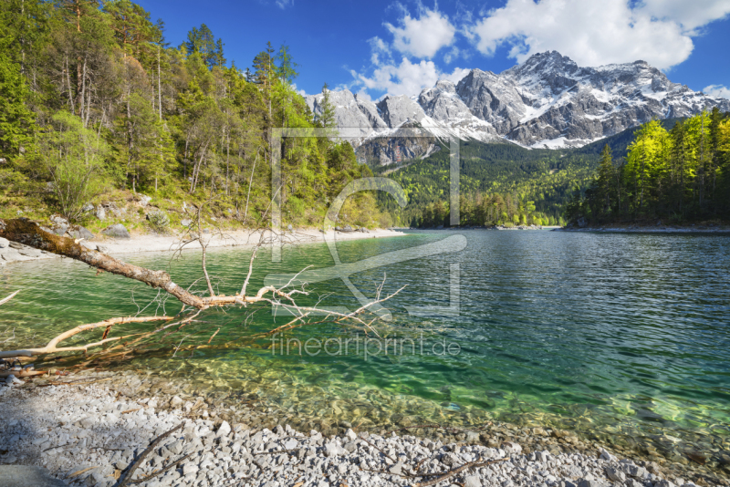 frei wählbarer Bildausschnitt für Ihr Bild auf Leinwand