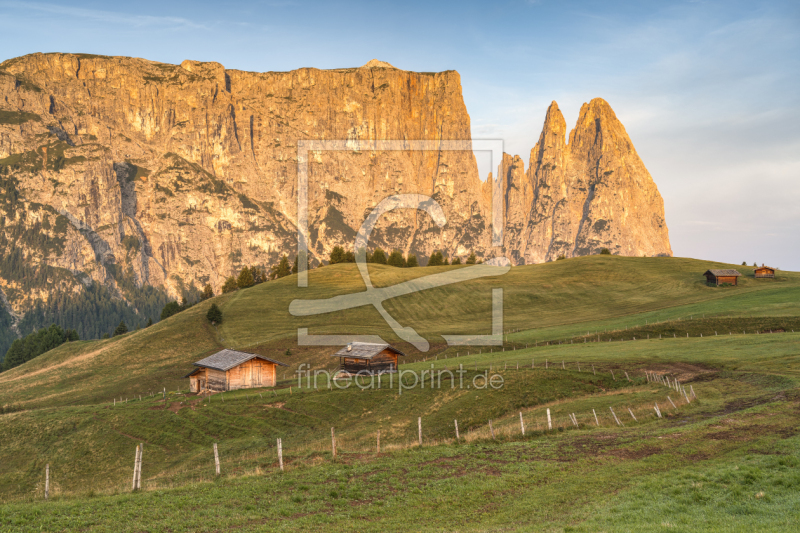 frei wählbarer Bildausschnitt für Ihr Bild auf Leinwand