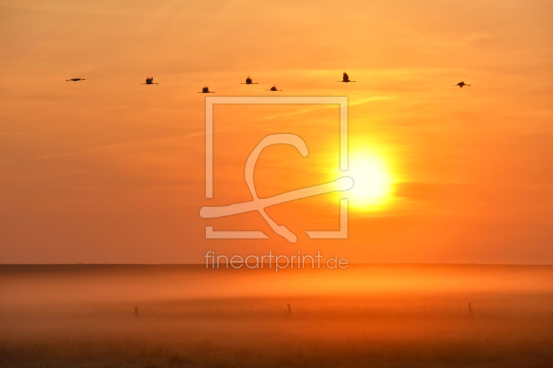frei wählbarer Bildausschnitt für Ihr Bild auf Leinwand