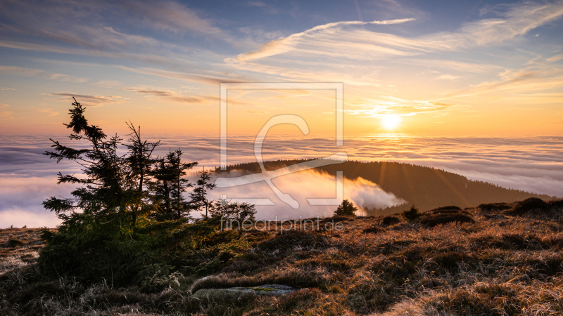 frei wählbarer Bildausschnitt für Ihr Bild auf Leinwand