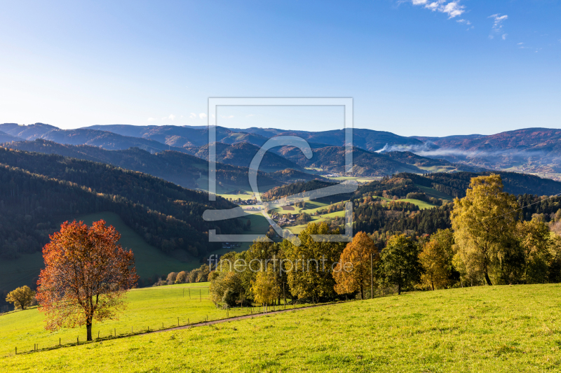 frei wählbarer Bildausschnitt für Ihr Bild auf Leinwand