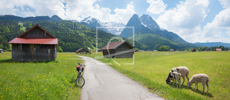 frei wählbarer Bildausschnitt für Ihr Bild auf Leinwand