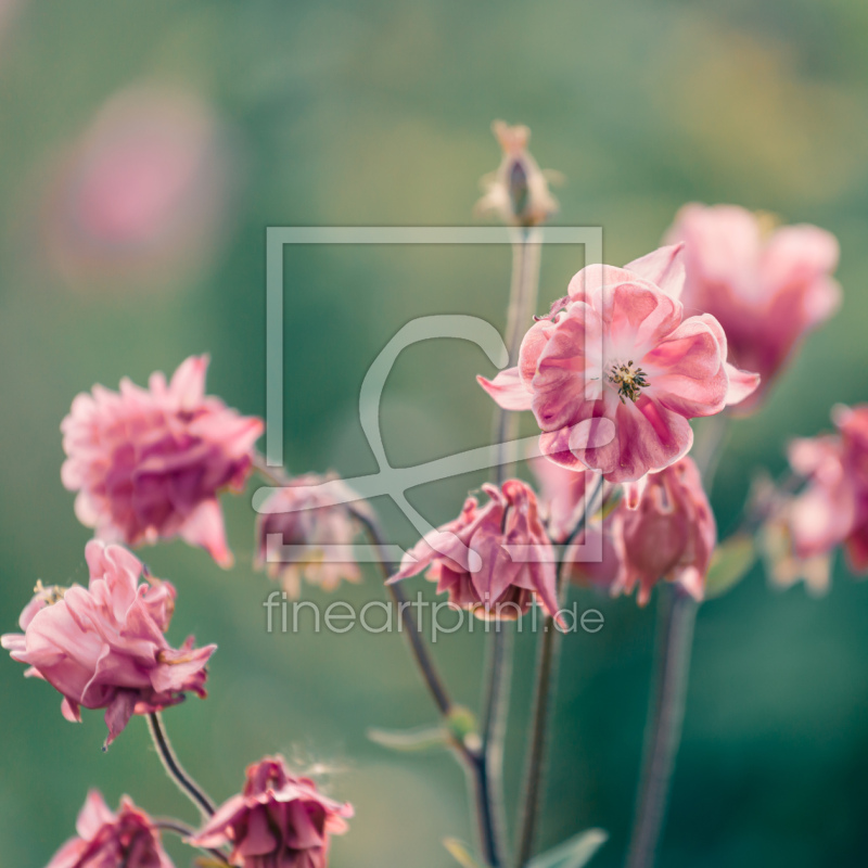 frei wählbarer Bildausschnitt für Ihr Bild auf Leinwand