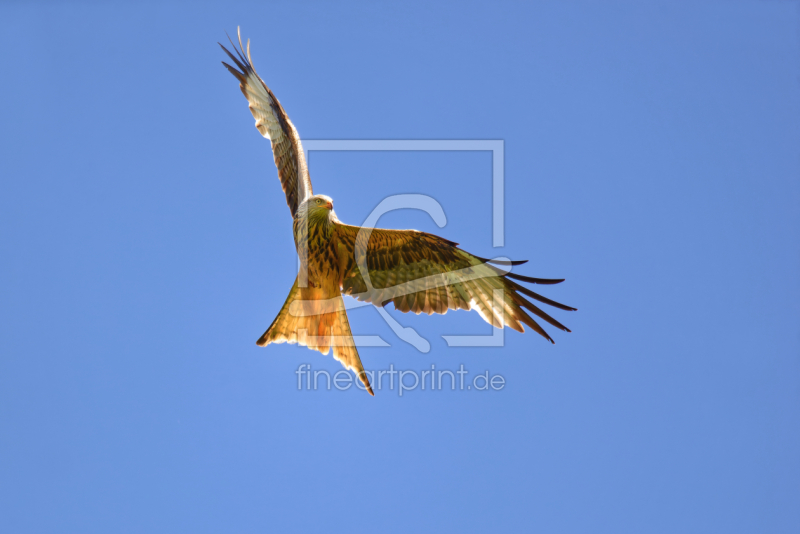 frei wählbarer Bildausschnitt für Ihr Bild auf Leinwand