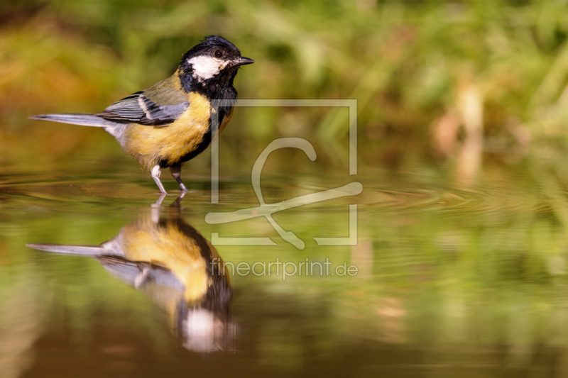 frei wählbarer Bildausschnitt für Ihr Bild auf Leinwand