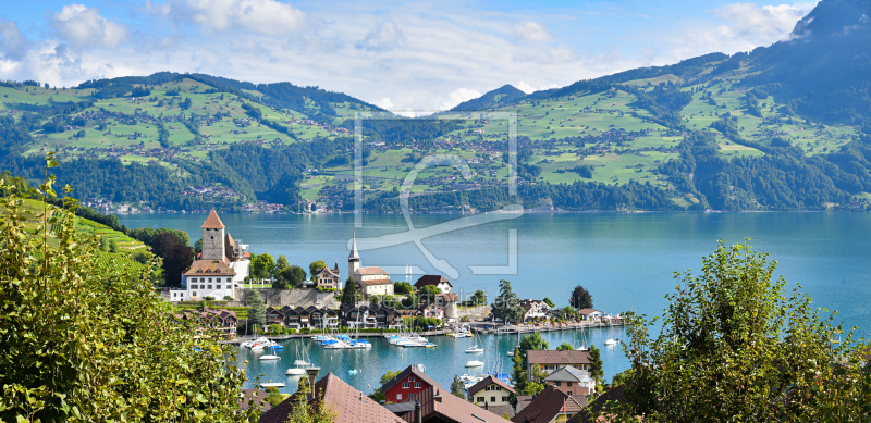 frei wählbarer Bildausschnitt für Ihr Bild auf Leinwand