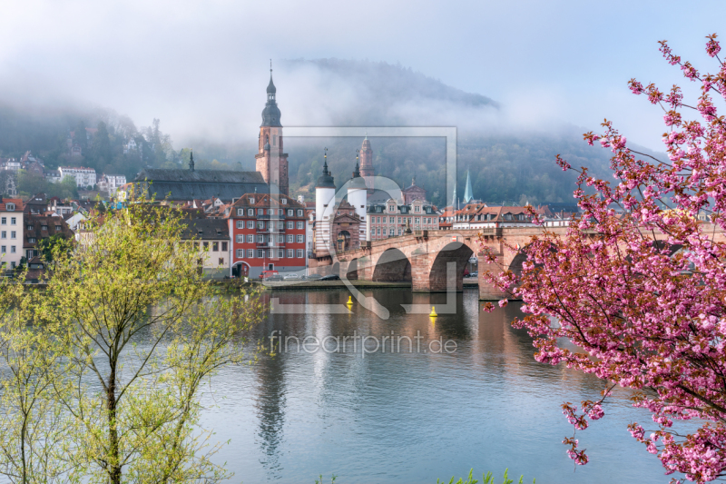 frei wählbarer Bildausschnitt für Ihr Bild auf Leinwand