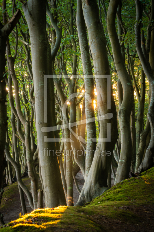 frei wählbarer Bildausschnitt für Ihr Bild auf Leinwand
