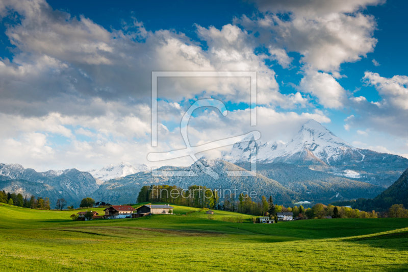 frei wählbarer Bildausschnitt für Ihr Bild auf Leinwand