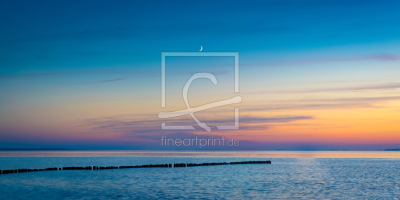 frei wählbarer Bildausschnitt für Ihr Bild auf Leinwand