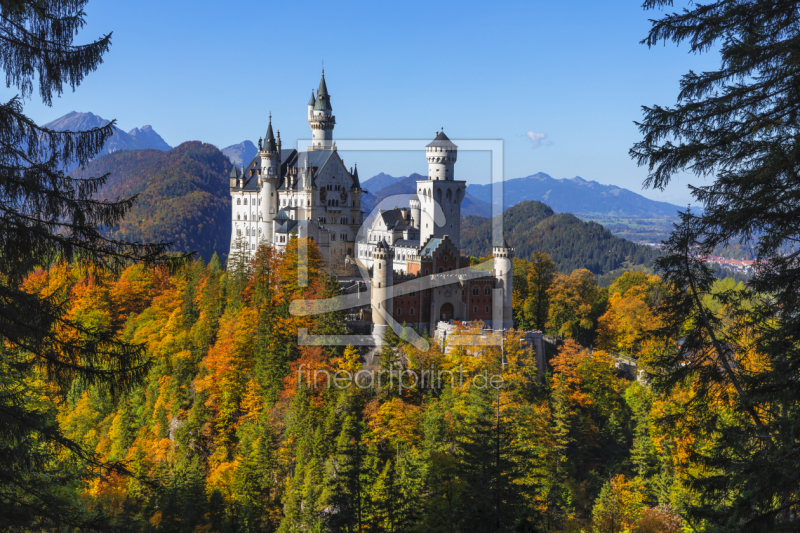 frei wählbarer Bildausschnitt für Ihr Bild auf Leinwand