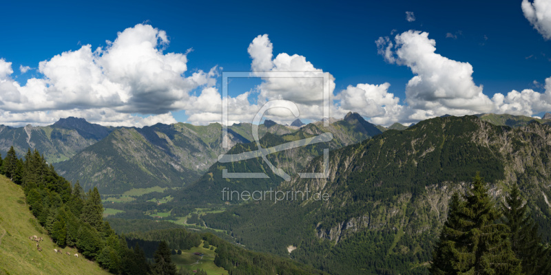 frei wählbarer Bildausschnitt für Ihr Bild auf Leinwand