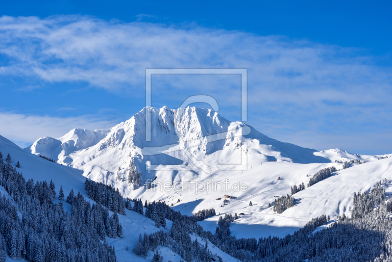 frei wählbarer Bildausschnitt für Ihr Bild auf Leinwand